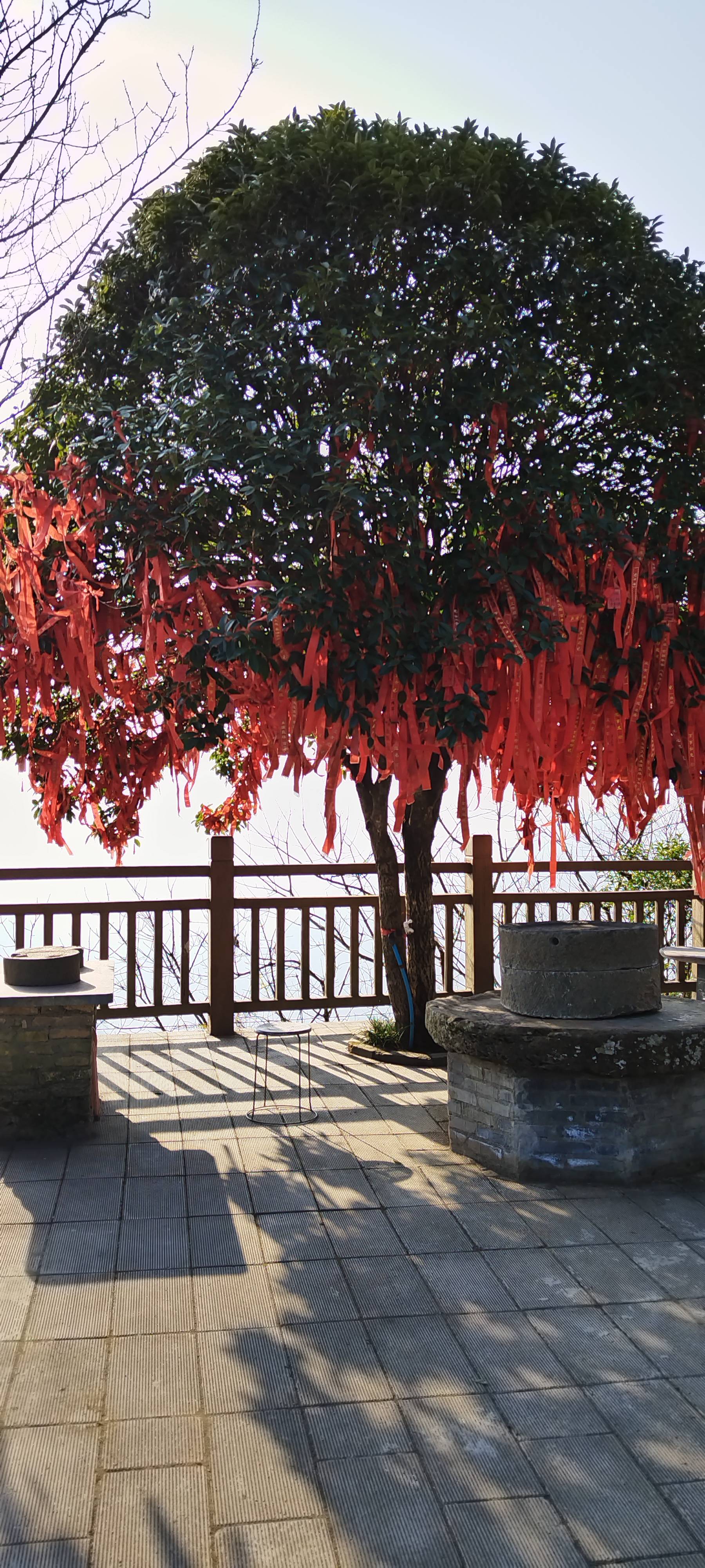 找搭子
