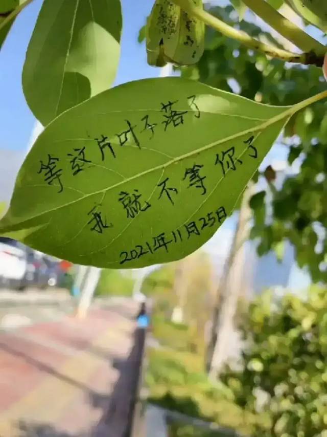 找搭子