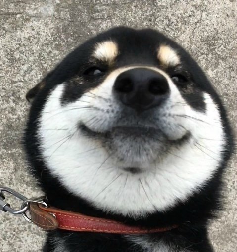 找搭子