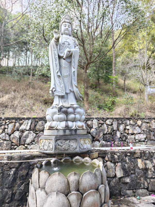 找搭子