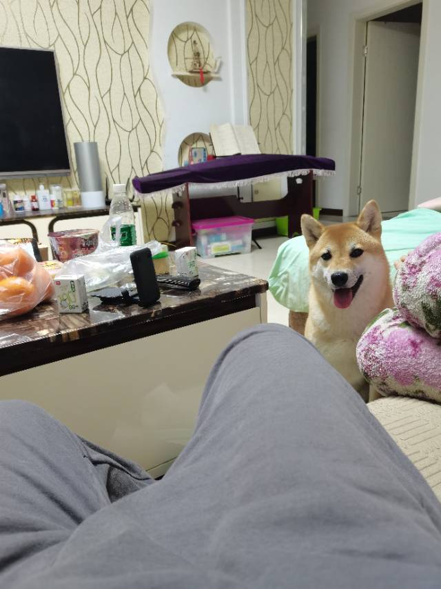 找搭子