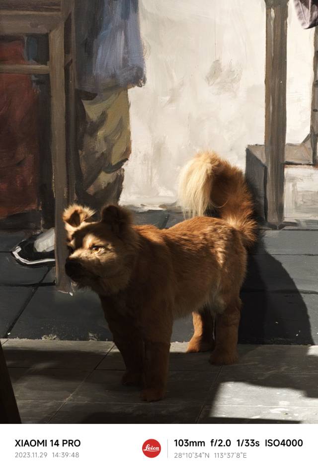 相亲找对象