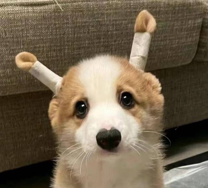 找搭子