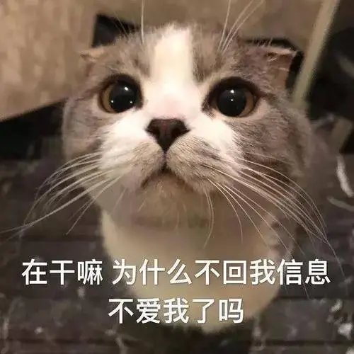 找搭子