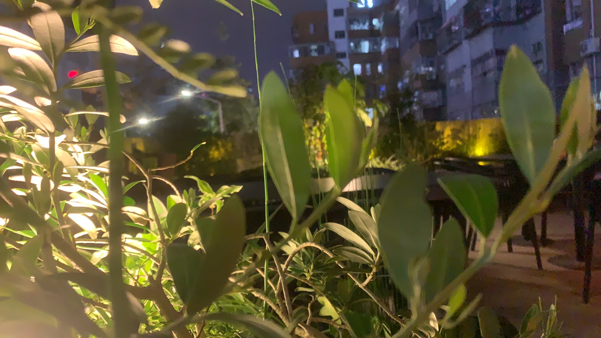 找搭子