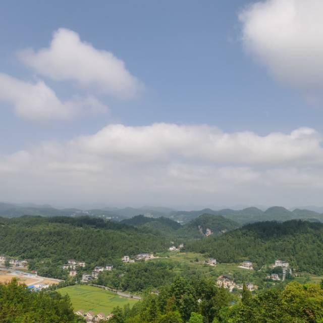 找搭子