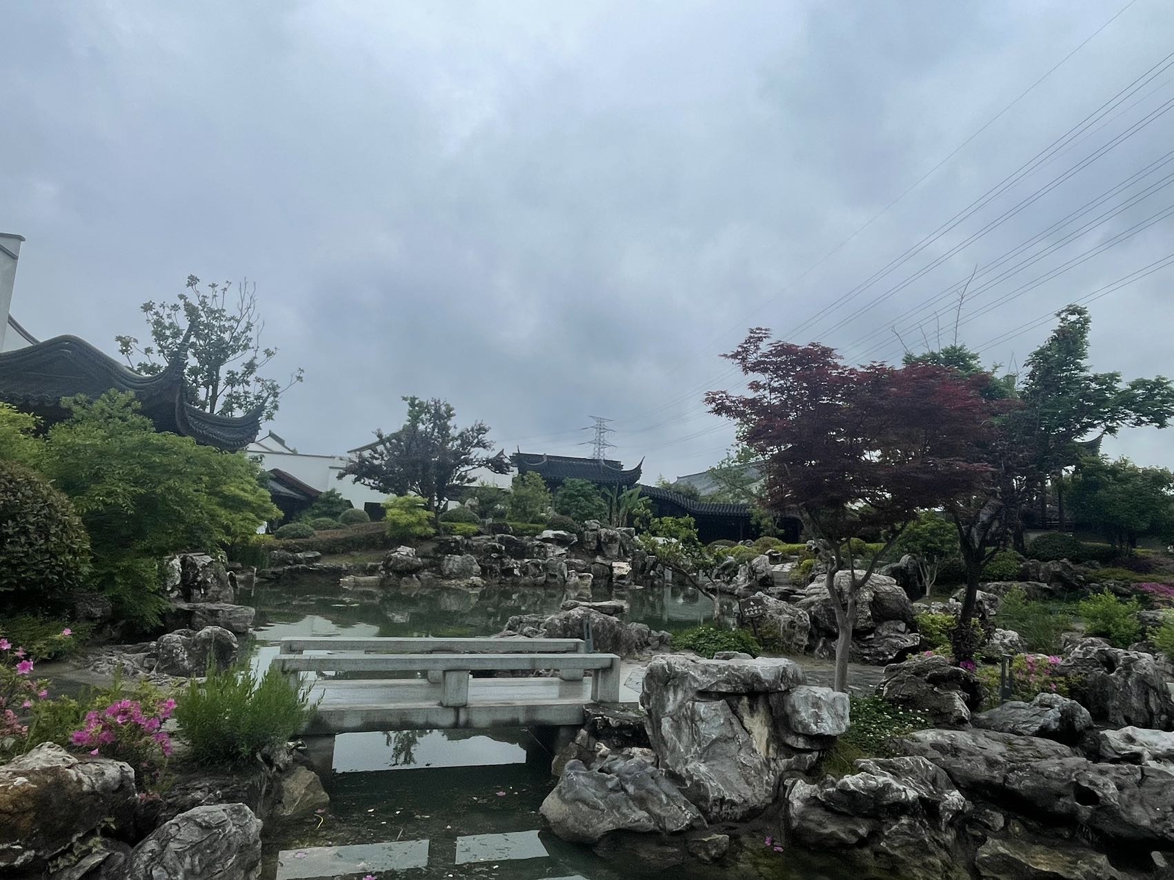 找搭子