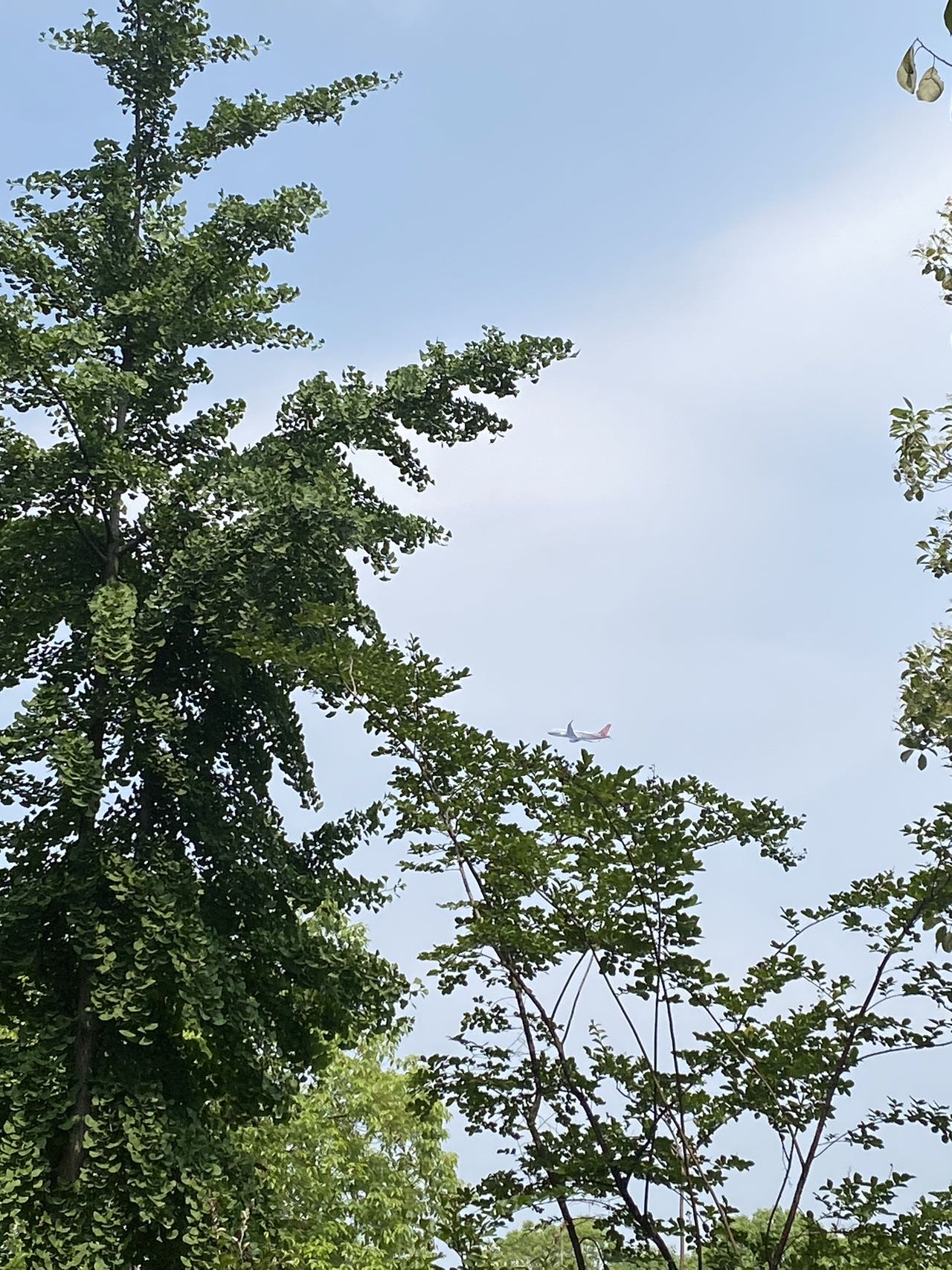 找搭子