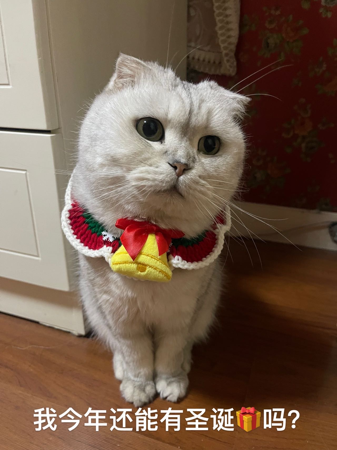 找搭子