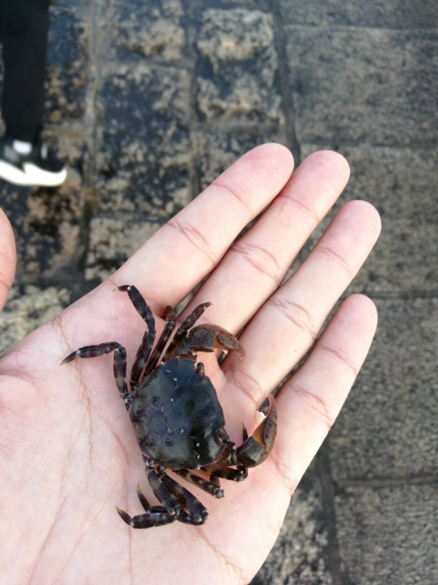 找搭子