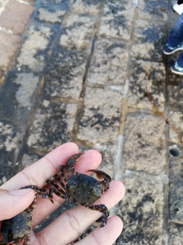 找搭子