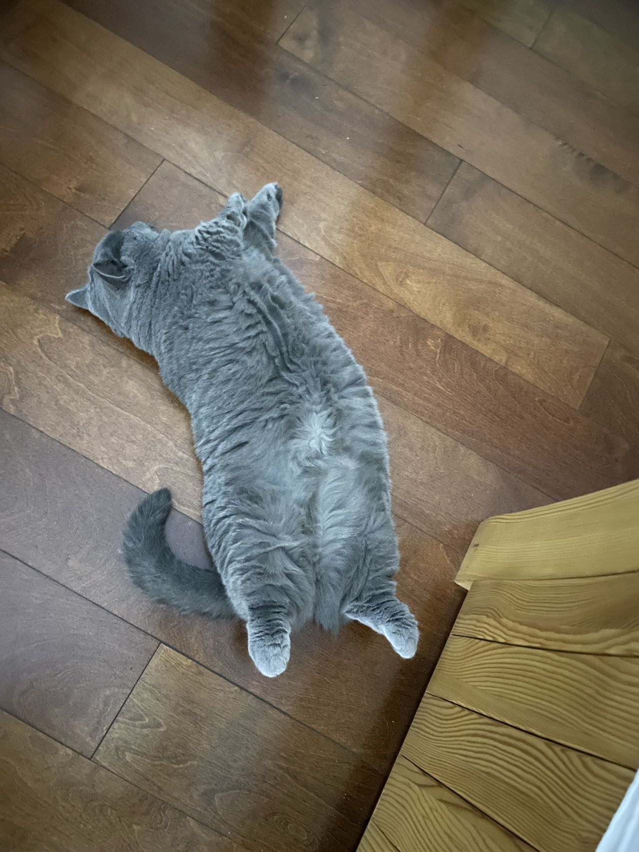 找搭子