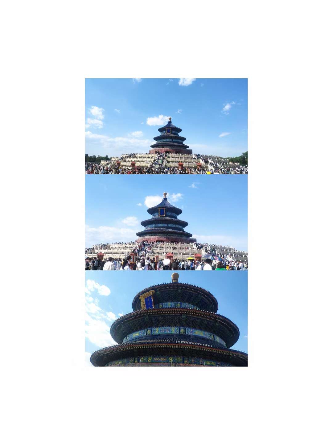 找搭子