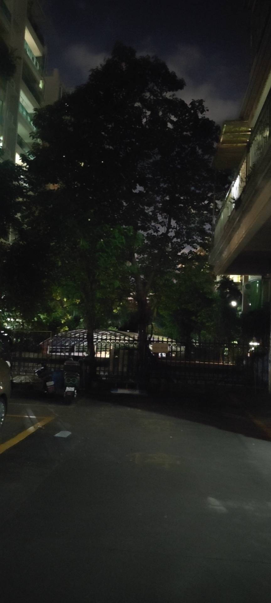 找搭子