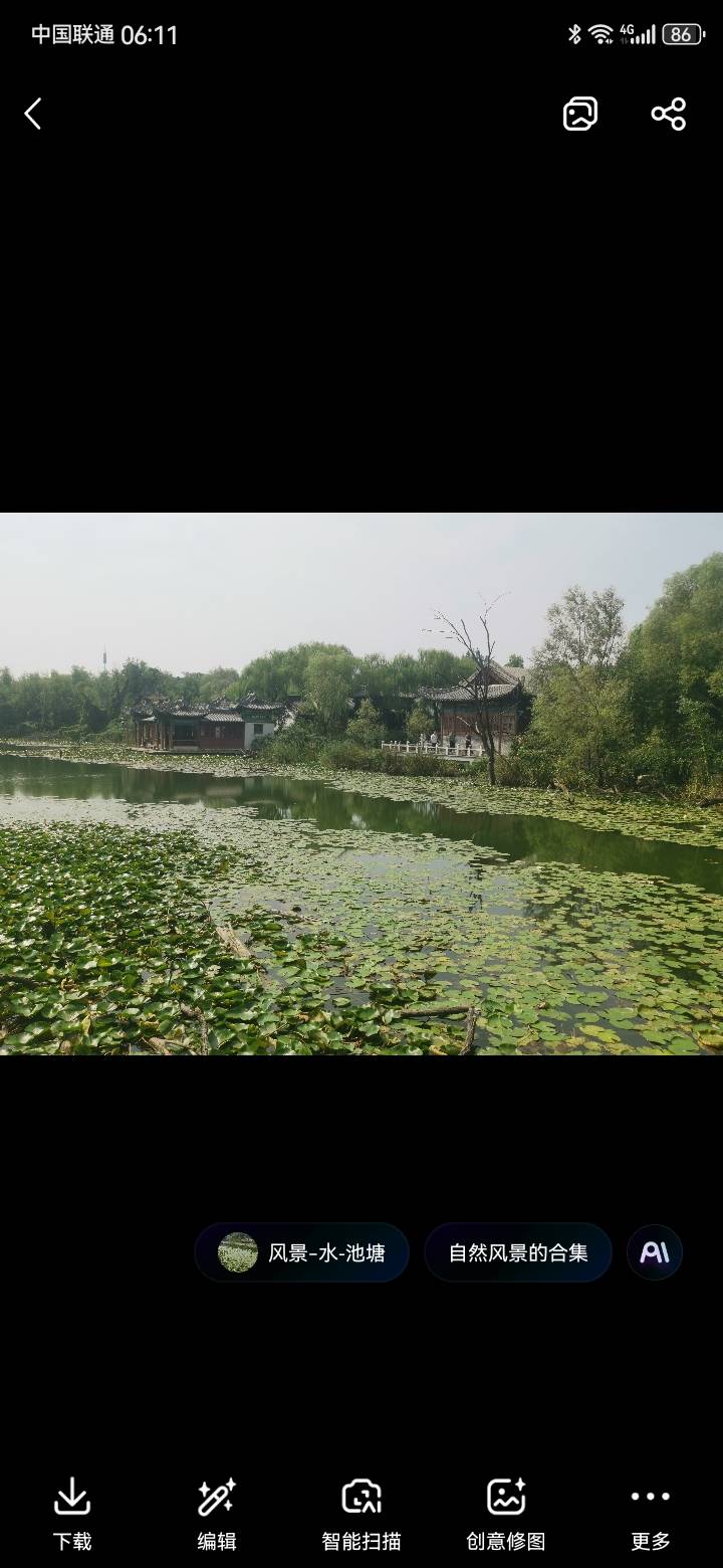 找搭子
