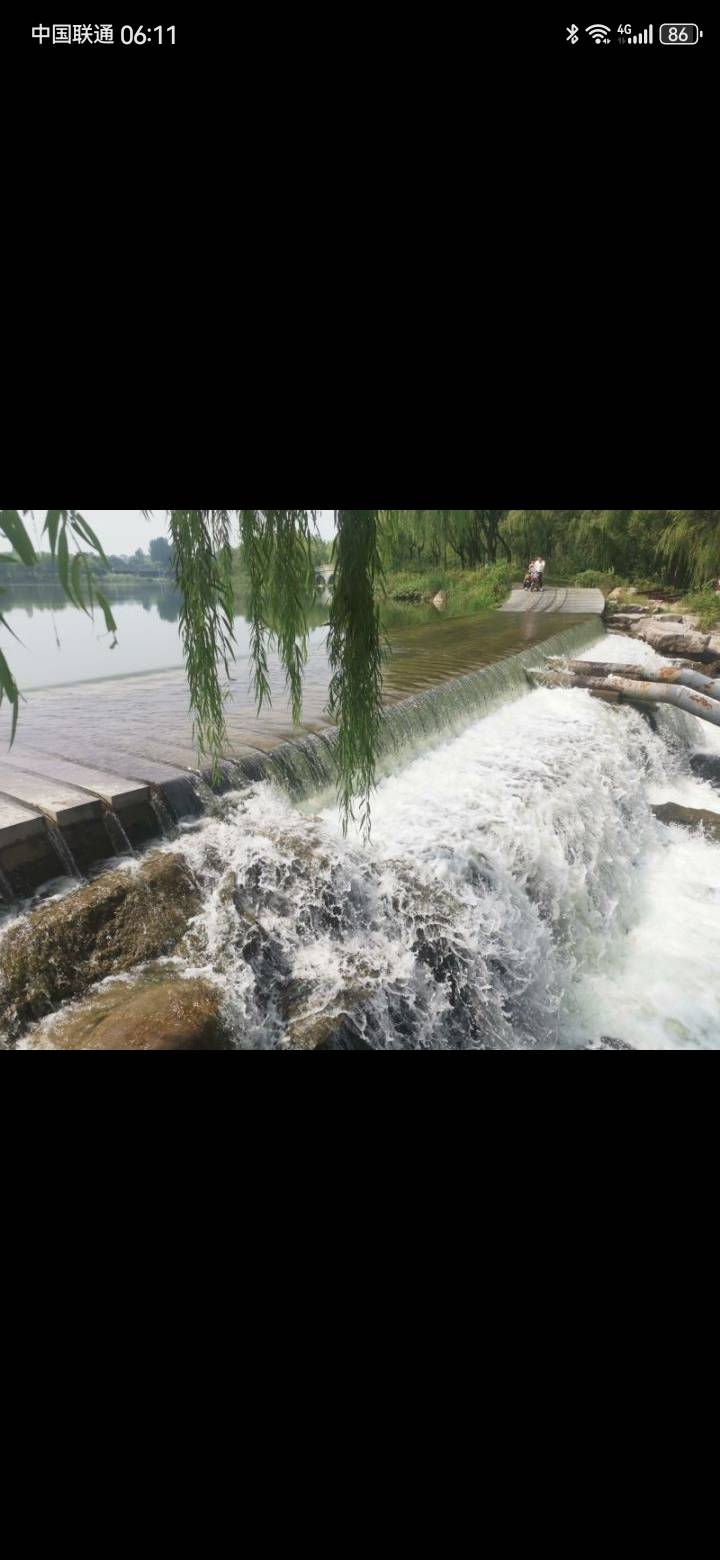 找搭子