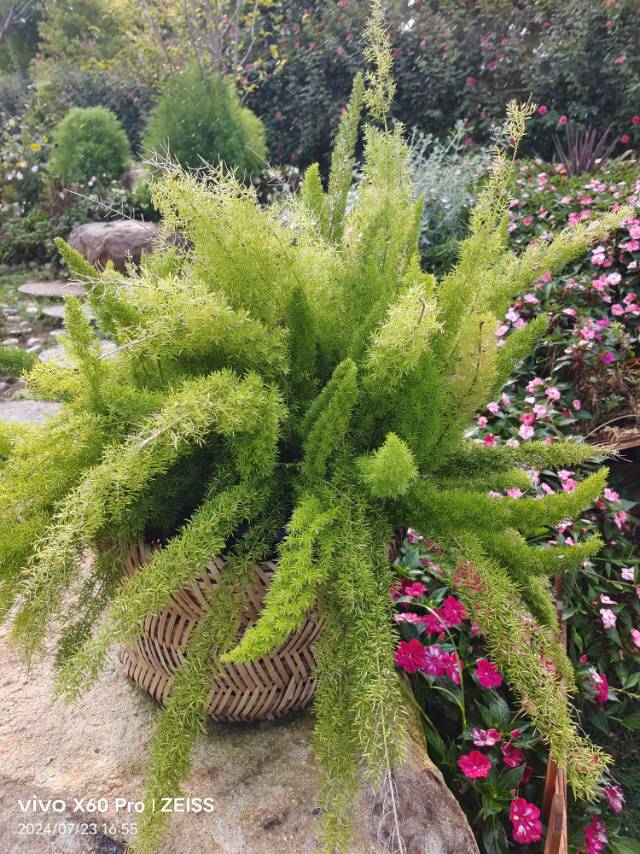 找搭子