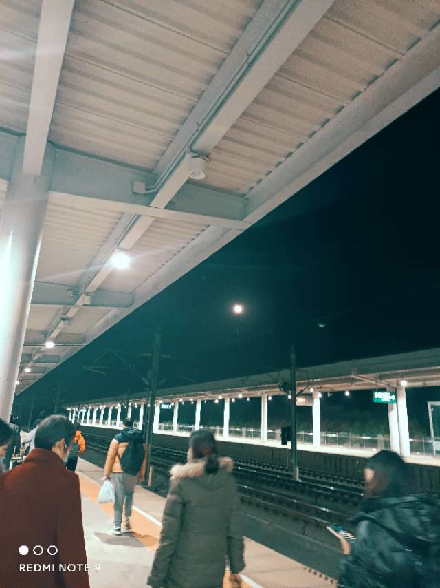 找搭子