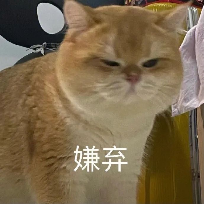 找搭子