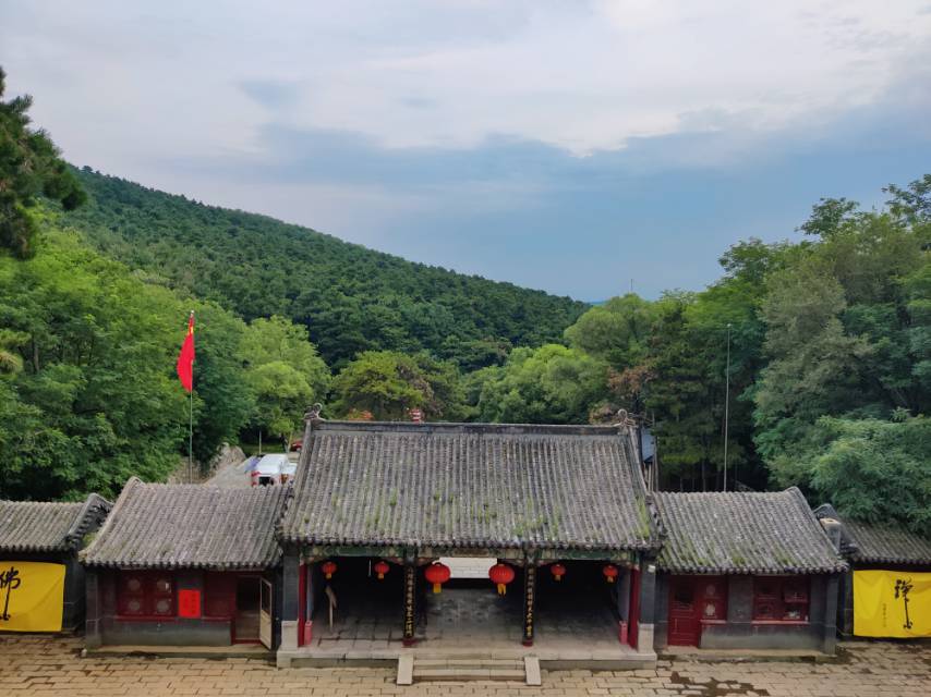 找搭子