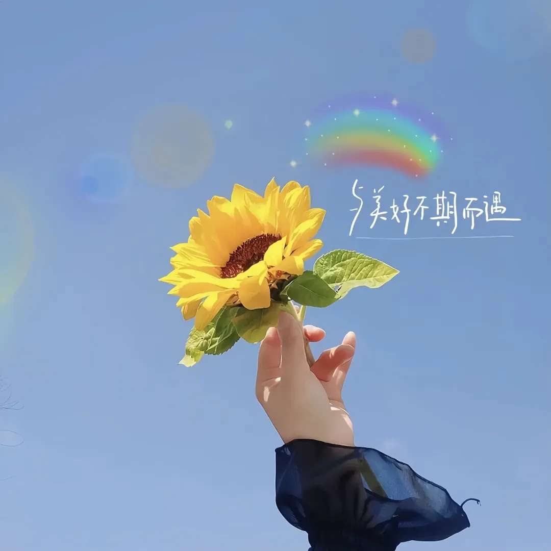 找搭子