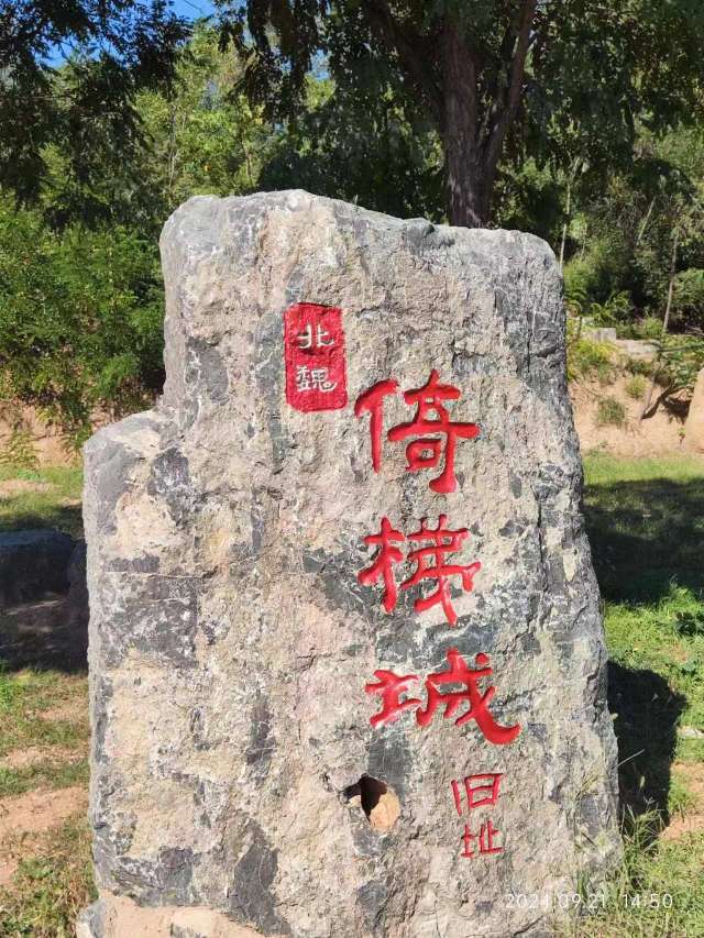 找搭子