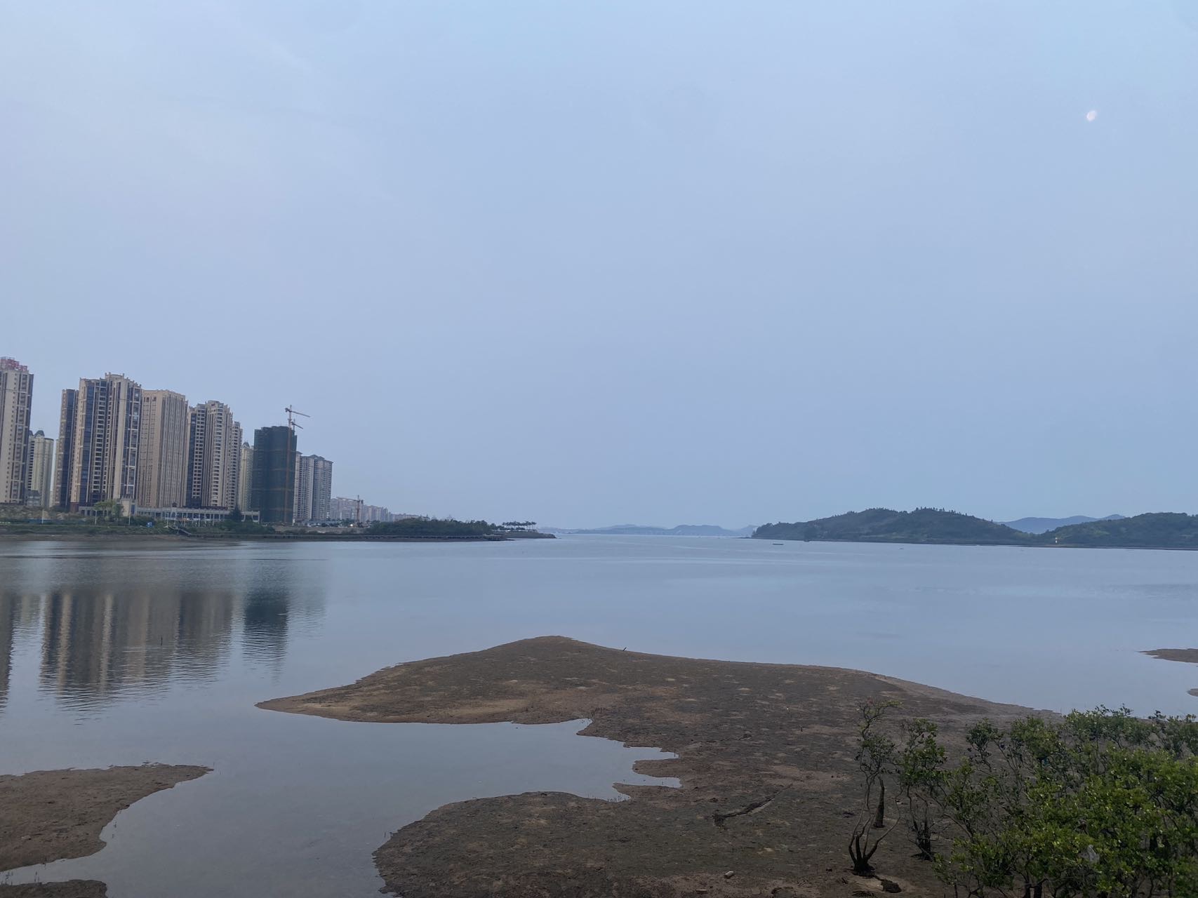 找搭子