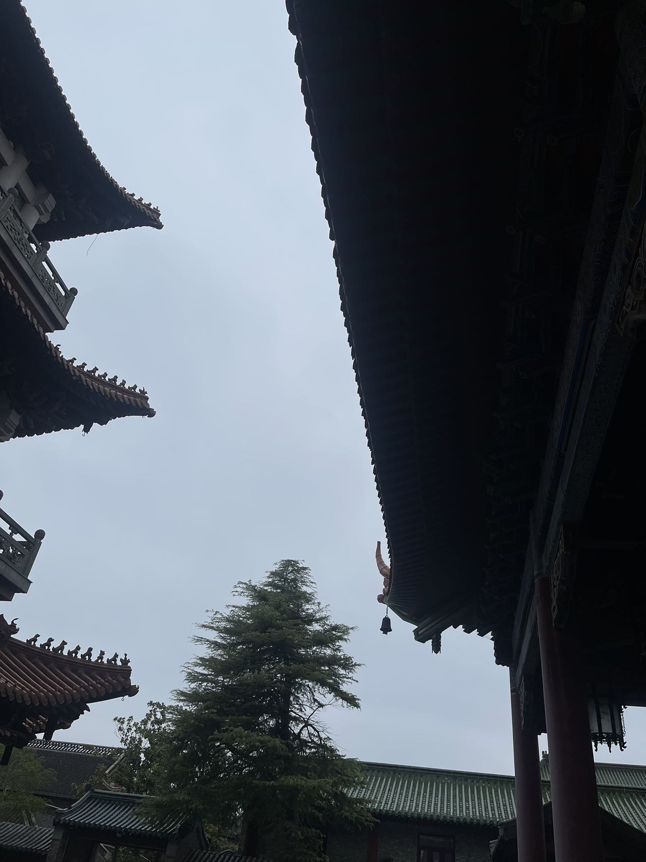 找搭子