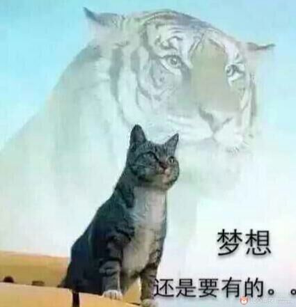 找搭子