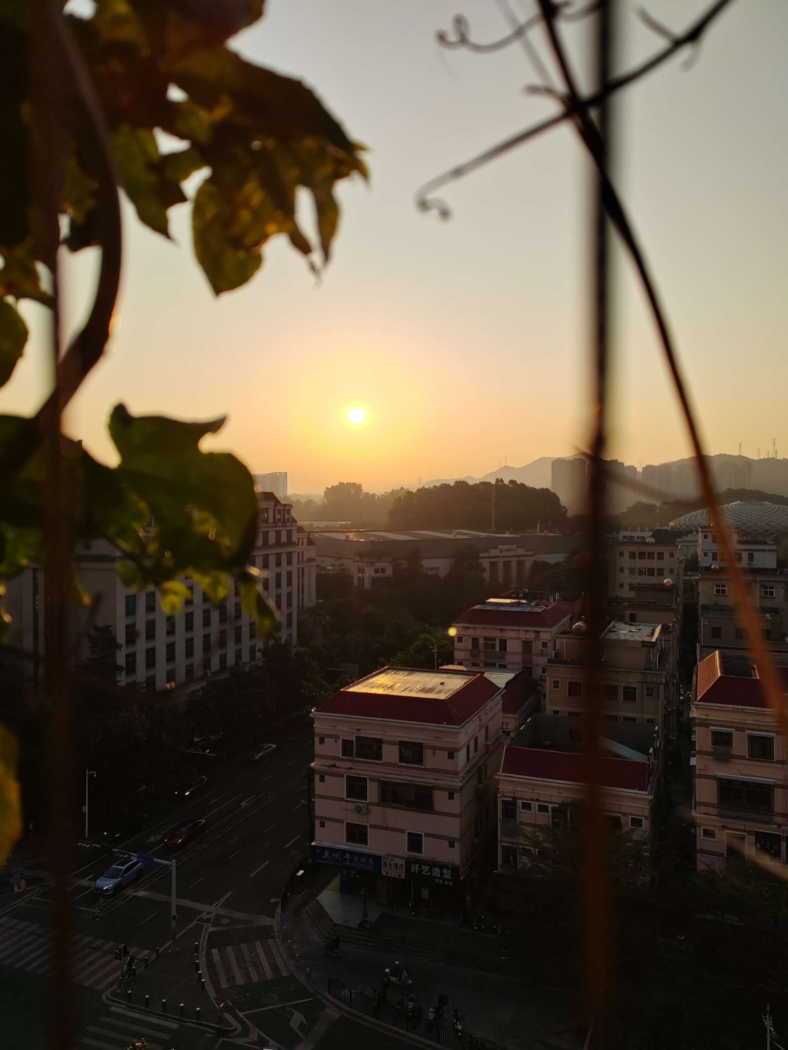 找搭子