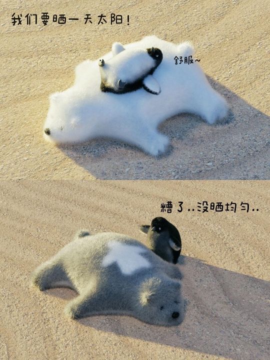 找搭子