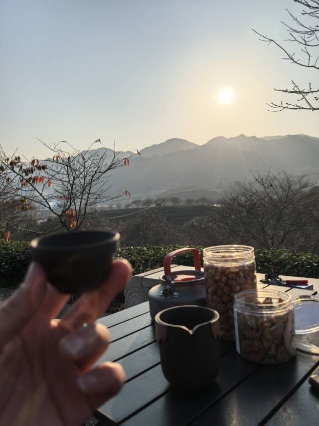 找搭子