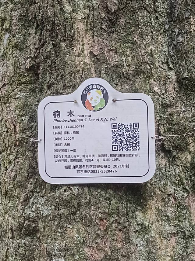 找搭子