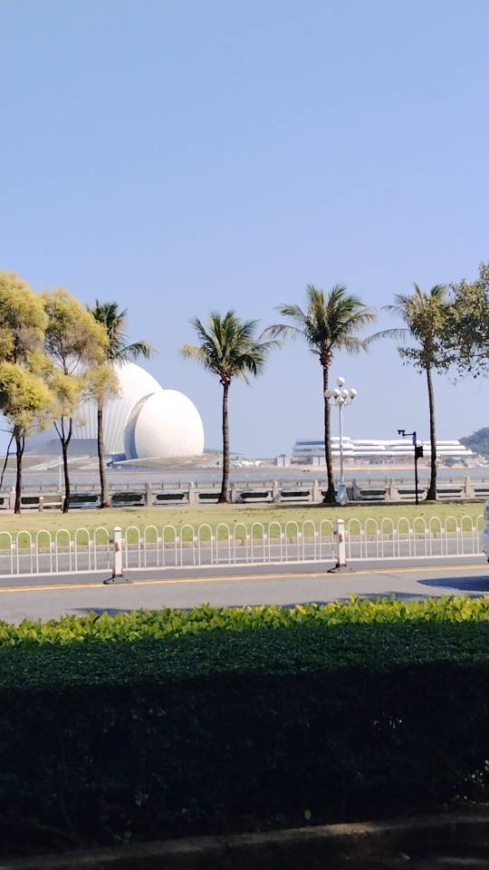 找搭子