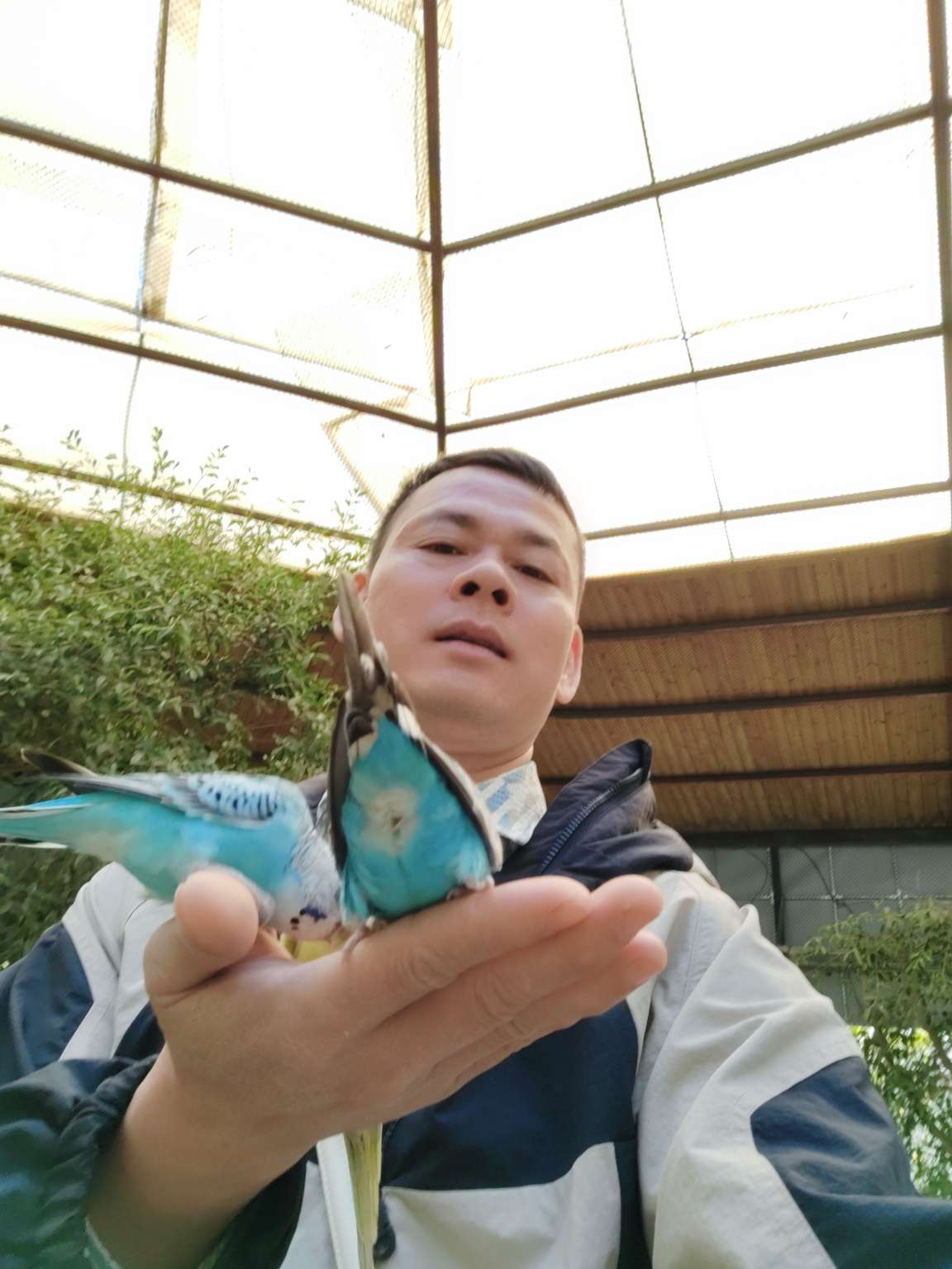 找搭子