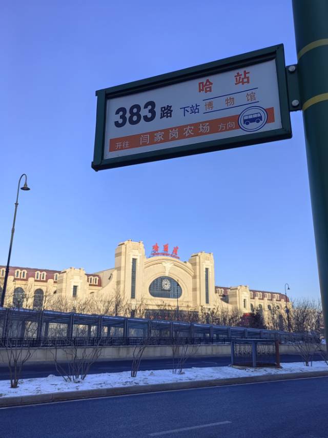 找搭子