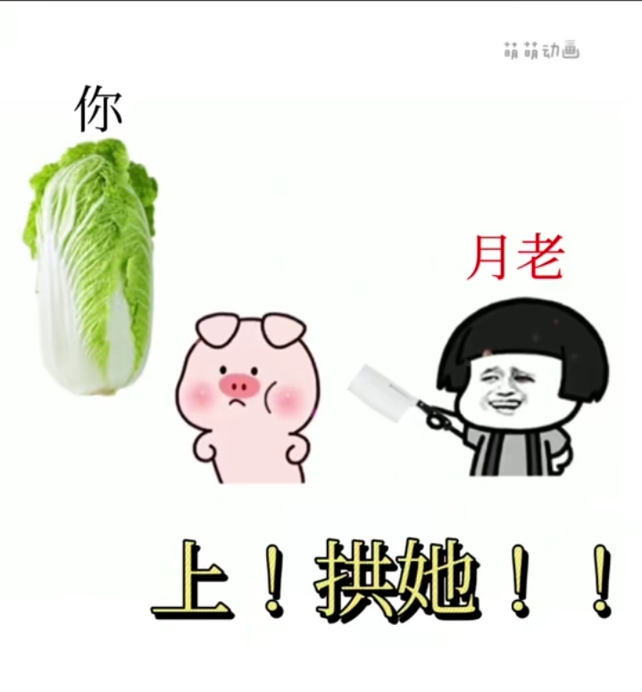 找搭子