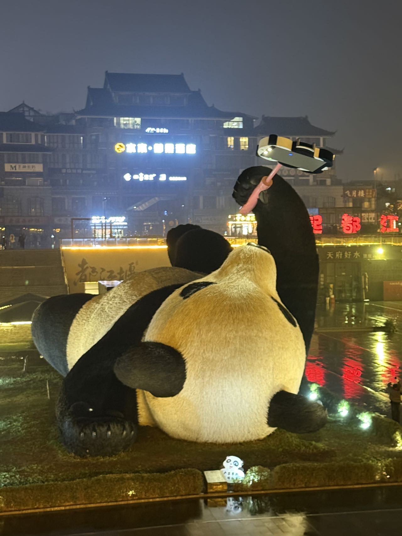 找搭子