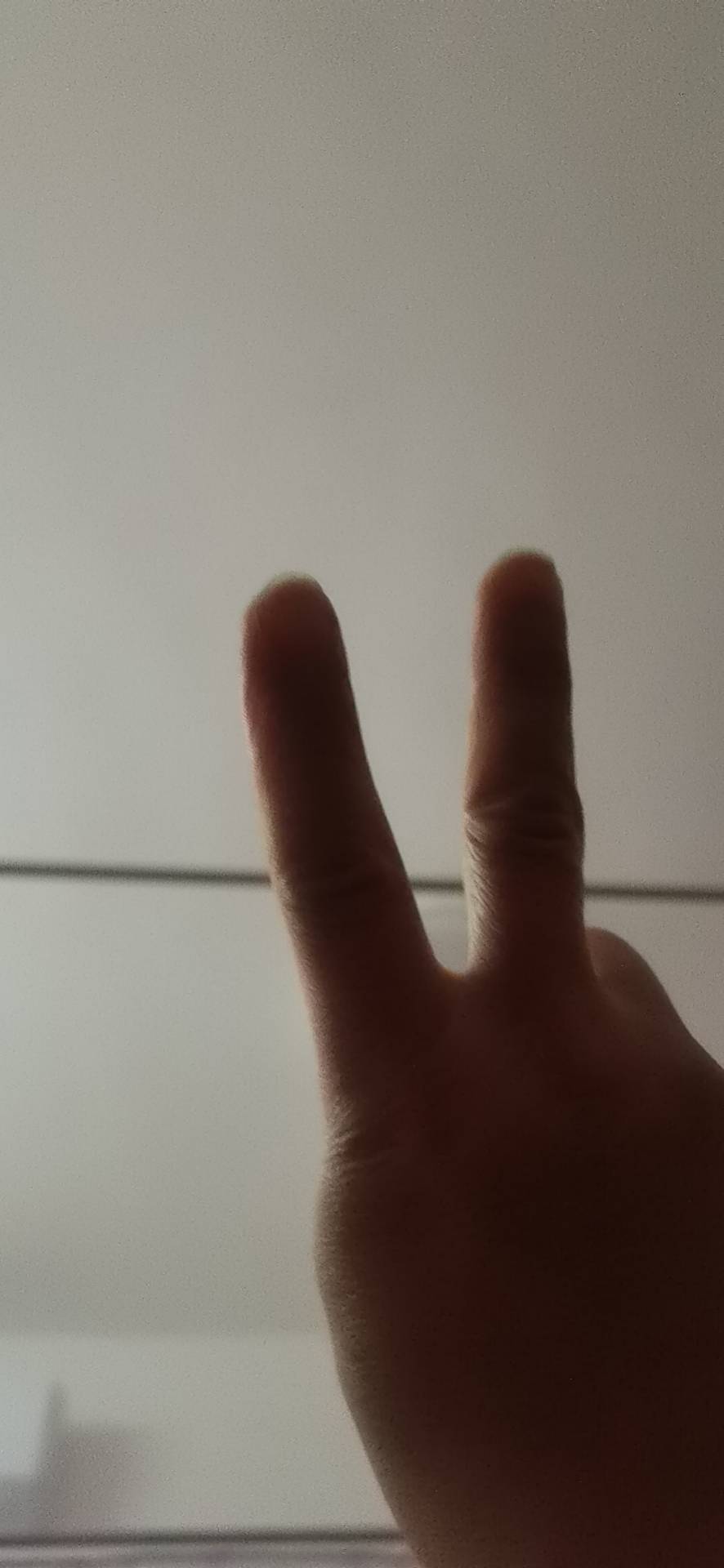 找搭子