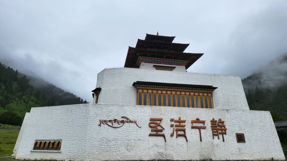 找搭子