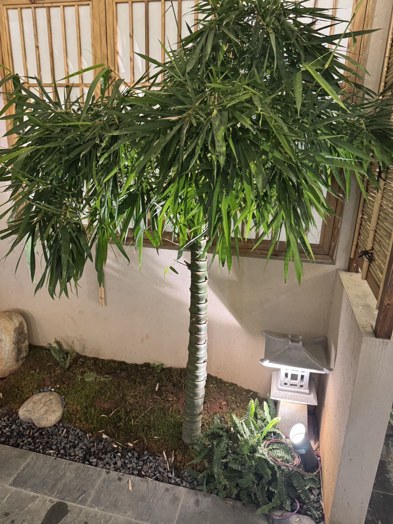 找搭子
