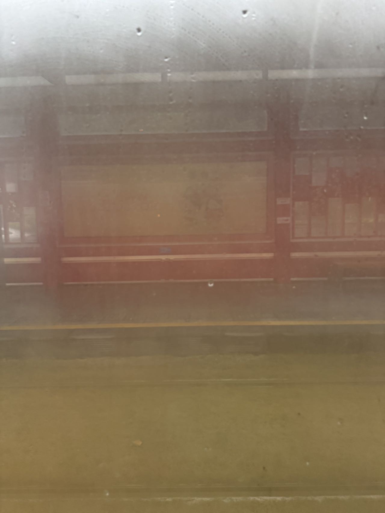 找搭子
