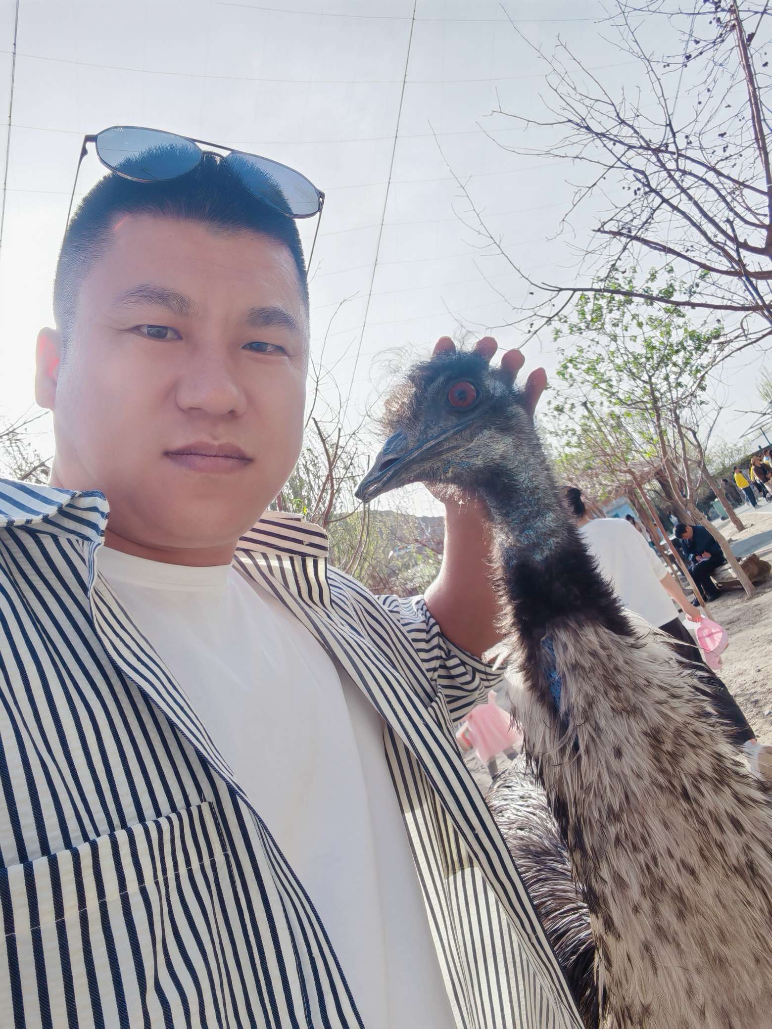 找搭子