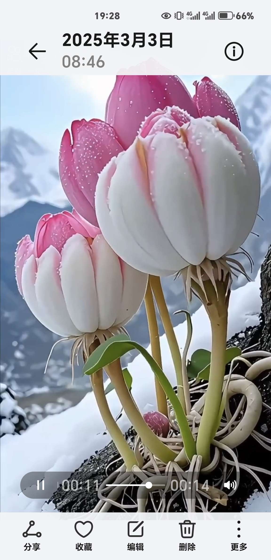 找搭子