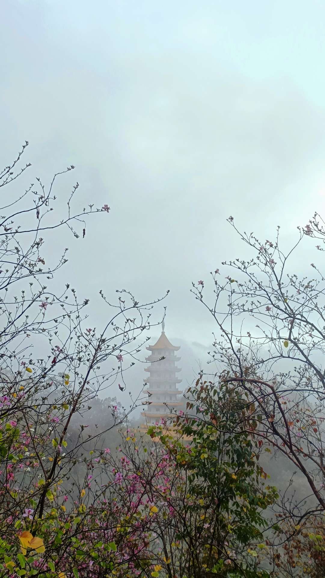 找搭子
