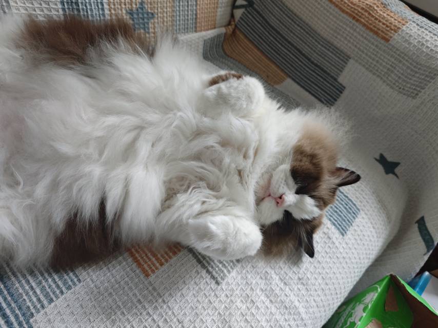 找搭子