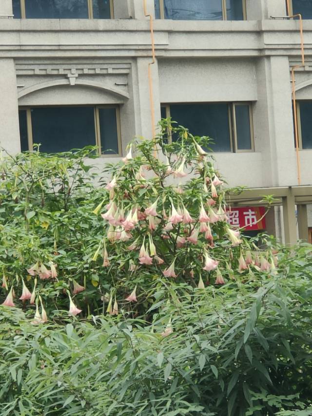 找搭子