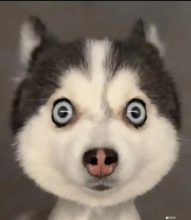 找搭子