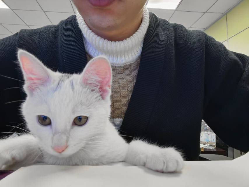 找搭子