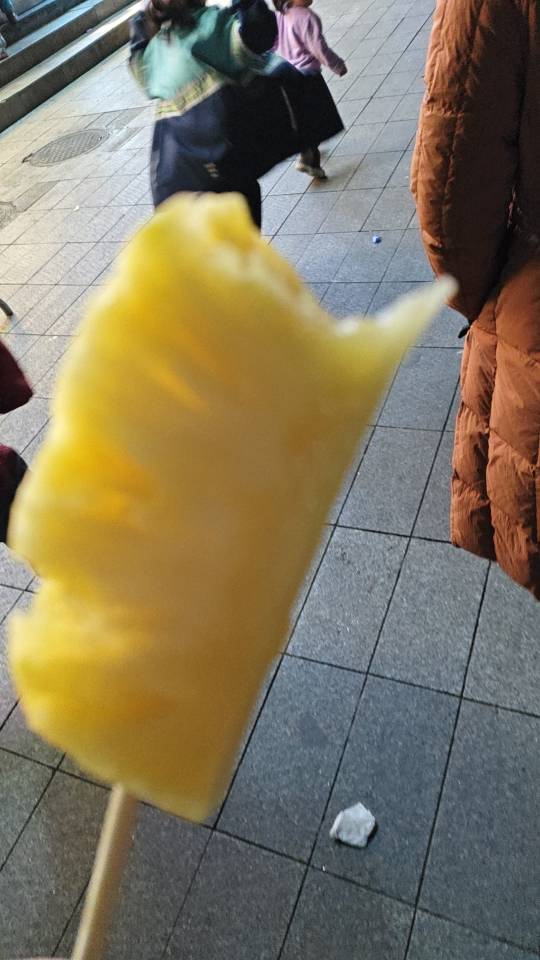找搭子